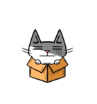 ian cat taking something（個別スタンプ：17）