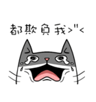 ian cat taking something（個別スタンプ：18）
