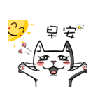 ian cat taking something（個別スタンプ：19）