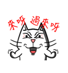 ian cat taking something（個別スタンプ：25）