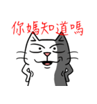 ian cat taking something（個別スタンプ：26）