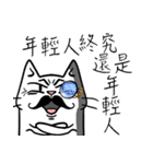 ian cat taking something（個別スタンプ：30）