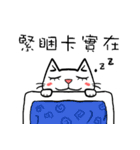 ian cat taking something（個別スタンプ：34）