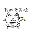 ian cat taking something（個別スタンプ：35）