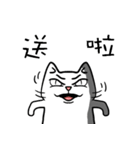 ian cat taking something（個別スタンプ：38）