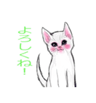 しろいこねこ（個別スタンプ：1）