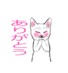 しろいこねこ（個別スタンプ：4）