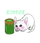 しろいこねこ（個別スタンプ：5）