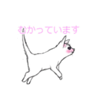 しろいこねこ（個別スタンプ：11）