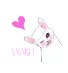 しろいこねこ（個別スタンプ：12）