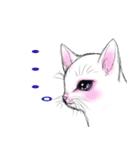 しろいこねこ（個別スタンプ：13）