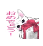 しろいこねこ（個別スタンプ：15）