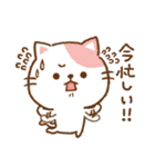 日常♥ゆるねこ その5【家族カップル】（個別スタンプ：24）