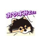 ポメラニアンMAX（個別スタンプ：5）