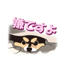 ポメラニアンMAX（個別スタンプ：9）