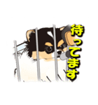 ポメラニアンMAX（個別スタンプ：14）