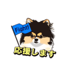 ポメラニアンMAX（個別スタンプ：24）