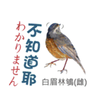 Taiwan wild bird series_3 by Gerald Her（個別スタンプ：7）