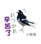 Taiwan wild bird series_3 by Gerald Her（個別スタンプ：24）