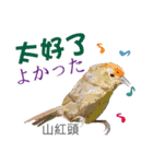 Taiwan wild bird series_3 by Gerald Her（個別スタンプ：25）