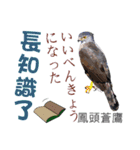 Taiwan wild bird series_3 by Gerald Her（個別スタンプ：39）