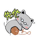 Calm Cat's 2:Rich and Colorful Life (TW)（個別スタンプ：11）