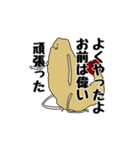 えびふらいスタンプ（個別スタンプ：10）