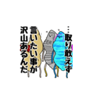 えびふらいスタンプ（個別スタンプ：24）