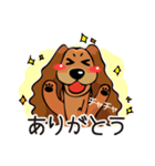 チャチャ（個別スタンプ：1）