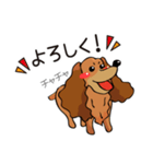 チャチャ（個別スタンプ：5）
