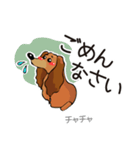 チャチャ（個別スタンプ：6）