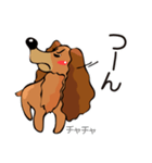 チャチャ（個別スタンプ：7）