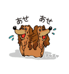 チャチャ（個別スタンプ：8）