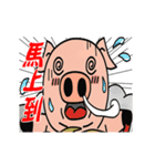 Sneezing Pig - Daily Life Dialogue3（個別スタンプ：10）