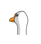 Jik the Goose（個別スタンプ：11）