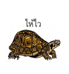 Zoo(za)cabulary（個別スタンプ：17）