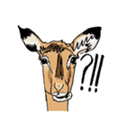 Zoo(za)cabulary（個別スタンプ：19）