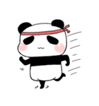 Panda-exercise（個別スタンプ：17）
