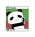 Panda-exercise（個別スタンプ：40）