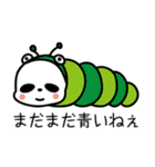 コスプレパンダ01「ムシパン」（個別スタンプ：24）