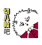 Pomeranian white Fat brother（個別スタンプ：12）