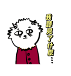 Pomeranian white Fat brother（個別スタンプ：13）