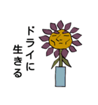 花雄さんスタンプ（個別スタンプ：37）