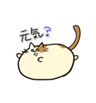 タマにゃん（個別スタンプ：4）