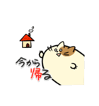 タマにゃん（個別スタンプ：5）