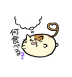 タマにゃん（個別スタンプ：7）