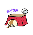 タマにゃん（個別スタンプ：13）