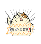 タマにゃん（個別スタンプ：19）