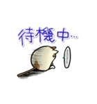 タマにゃん（個別スタンプ：20）