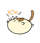 タマにゃん（個別スタンプ：22）